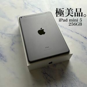 【極美品】Apple iPad mini 5 Wi-Fi Cellular SIMフリー 256GB