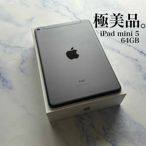 【極美品】Apple iPad mini 5 Wi-Fi Cellular SIMフリー 64GB