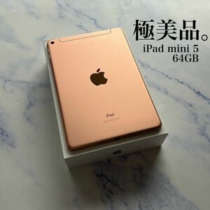 【極美品】Apple iPad mini 5 Wi-Fi Cellular SIMフリー 64GB