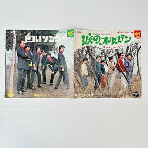 ズー・ニー・ヴー ZOO NEE VOO 涙のオルガン/白いサンゴ礁 日本コロンビア LL- 10090-J EP レコード　グループサウンズ 昭和のバンド