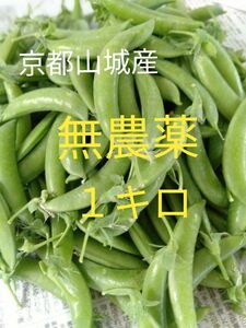 【京都山城産】無農薬野菜　スナップエンドウ　約1kg⑥甘い