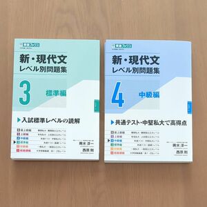 新・現代文レベル別問題集 2冊セット 東進ブックス