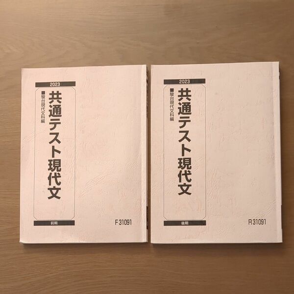 大学受験　駿台　国語（現代文）　2023年度　テキストセット