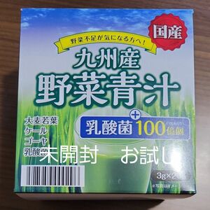 [新品・未開封]九州産/野菜青汁　3g20包　※血糖値をさげコレステロール低下　食後にお勧めします！お試し包数