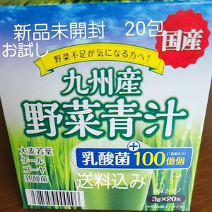 九州産 /野菜青汁 /乳酸菌入　1箱20包血糖値をさげ　コレステロール低下　※食後にお勧めします！☆一箱でまずはお試しを！