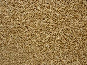 mki. пшеница 500g