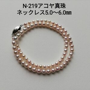 N219 アコヤ真珠 SV パールネックレス 5.0～6.0㎜ 変形 あこや本真珠 SILVER 国産 真珠