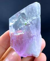 終端バイカラークンツァイトクリスタル Terminated Bicolor Kunzite Crystal From Afghanistan_画像7