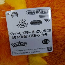 ポケットモンスター　ほっこりいやされ　めちゃでかぬいぐるみ〜アチャモ〜_画像5