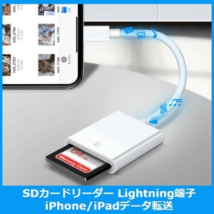 ★送料無料★【6ZA】SDカードリーダー iPhone iPad データ転送 動画転送 ライトニング