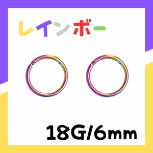 18G 6mm レインボー フープ ピアス セグメント サージカルステンレス