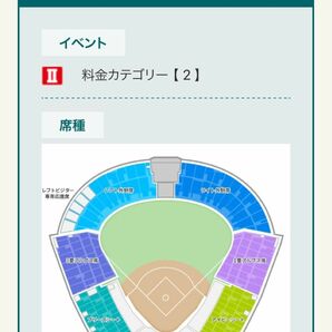 阪神タイガース　9/10 阪神甲子園球場　vsDeNAベイスターズ　アイビーシート1枚