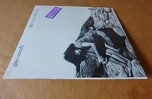 GINO VANNELLI「BROTHER TO BROTHER」米ORIG [初回見開きジャケット] ステッカー有シュリンク美品_画像3