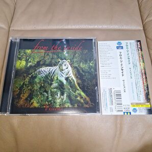 フロムジインサイド FROM THE INSIDE VISIONS 国内盤 帯付　新品同様　メロハー名盤