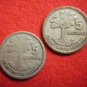 ♭世界の銀貨 REPUBLICA DE GUATEMALA 5 CENTAVOS (.720 silver) ８枚一括 外径約15.9㎜～ 総量目約12.55g 中古並品～の画像4