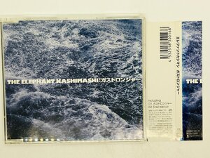 即決CD THE ELEPHANT KASHIMASHI / ガストロンジャー / エレファントカシマシ 帯付き BFCA72001 X33