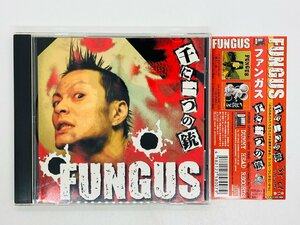 即決CD ファンガス 千に一つの銃 / FUNGUS / 帯付き Z38