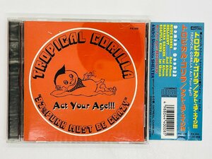 即決CD トロピカル・ゴリラ アクト・ユア・エイジ / TROPICAL GORILLA , Act Your Age 帯付き W01