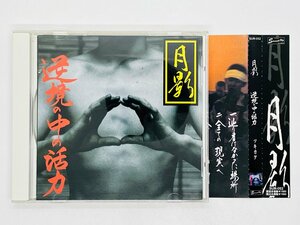 即決CD 月影 逆境の中の活力 ツキカゲ / 帯付き W03