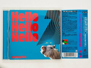 即決CD Analogfish アナログフィッシュ Hello Hello Hello / 帯付き ESCL 2595 Y24