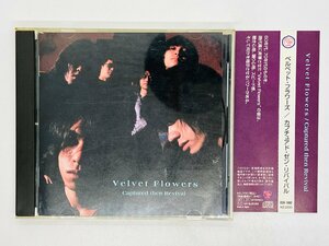 即決CD Velvet Flowers「Captured then Revival」ベルベット・フラワーズ/カプチュアド・ゼン・リバイバル 帯付き G02