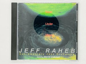 即決CD JEFF RAHEB Topaz Under Moon / TPZ-0001 Y47