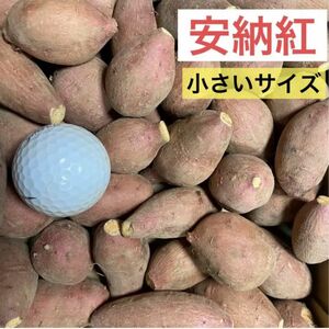 安納紅小さいサイズ(60ｇ以下)2.9kg