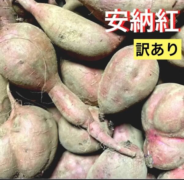 訳あり安納紅M～Lサイズ混合5kg