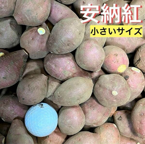 安納紅小さいサイズ(60ｇ以下)2.9kg