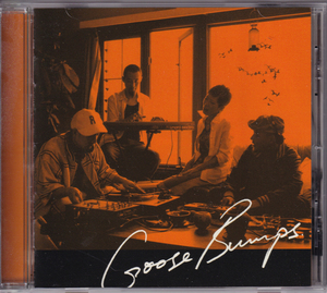 見本CD☆ GOOSE BUMPS グース・バンプス Goose Bumps 2（Promo R And C YRCN-11058）