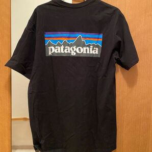 Patagonia Tシャツ