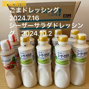 計10本　シーザーサラダドレッシング600ml、ごまドレッシング500ml