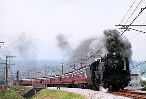 [ railroad photograph ]D51 498+ salon Express Tokyo [9005211]