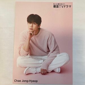 チェ ジョンヒョプ〈もっと知りたい韓国TVドラマ〉特典ポストカード