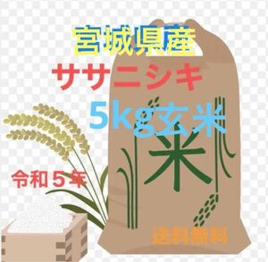 宮城県産ササニシキ　令和５年5kg玄米　送料無料
