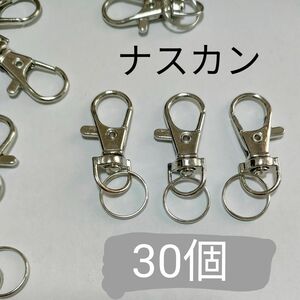 ナスカン　シルバー系色　30個