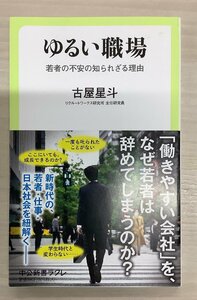 ゆるい職場　文庫本　若者がなぜ仕事を辞めてしまうのか？　現代社会の問題の解説本です。　中古本