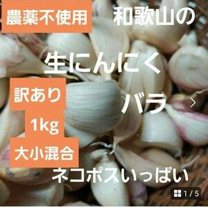 農薬不使用　訳あり生にんにく　約1kg　ネコポスいっぱい詰め