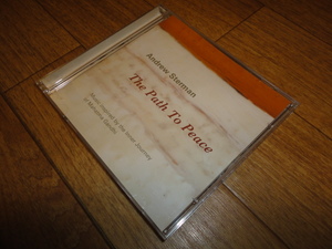 ♪Andrew Sterman (アンドリュー・スターマン) The Path to Peace♪　Todd Reynolds Bob Palmieri Mick Rossi Kermit Driscoll