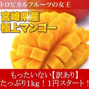 1個出品 予約 訳あり 宮崎県産 完熟アップルマンゴー 宮崎マンゴー 約1kg 6月中旬頃より出荷予定 さんきん 1円