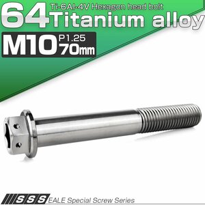 チタンボルト M10×70mm P1.25 六角ボルト 六角穴付き ホールヘッド フランジボルト シルバー JA1831