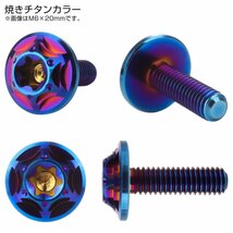 チタンボルト M6×25mm P1.0 ボタンボルト スノーヘッド ホール デザインボルト トルクス穴 焼きチタン JA1386_画像2