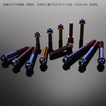 チタンボルトM8×40mm P1.25 フランジ付き 六角ボルト トルクス穴 ワイヤーロックホール付き 焼きチタン JA1396_画像3