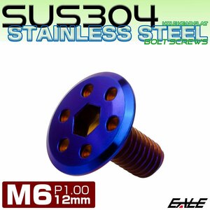 ステンレスボルト M6×12mm P1.0 ホールヘッド フラット 六角穴付 ボタンボルト SUS304 焼きチタンカラー TR0978