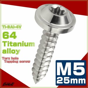 64チタン M5×25mm タッピングネジ トルクス穴 フランジ付き ビス シルバー JA1274