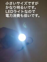 高輝度LEDミニハンディライト 懐中電灯 キャンプ 防災 アウトドア 作業灯　　_画像5