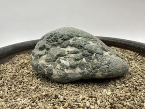 【A0026】3kg　緑色　水石　自然石　観賞石　天然石　富山