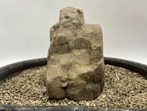 【A0028】4.3kg　水石　自然石　景観石　岩　岩壁　ロック　観賞石　天然石　富山_画像4