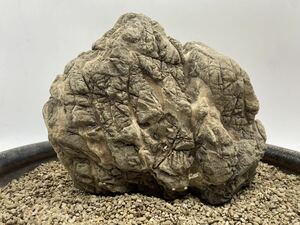【A0029】7.5kg　水石　自然石　景観石　岩　岩壁　ロック　観賞石　天然石　富山