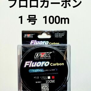 フロロカーボン　ライン　1.0号　100m　5.39lb　釣り糸　リーダー